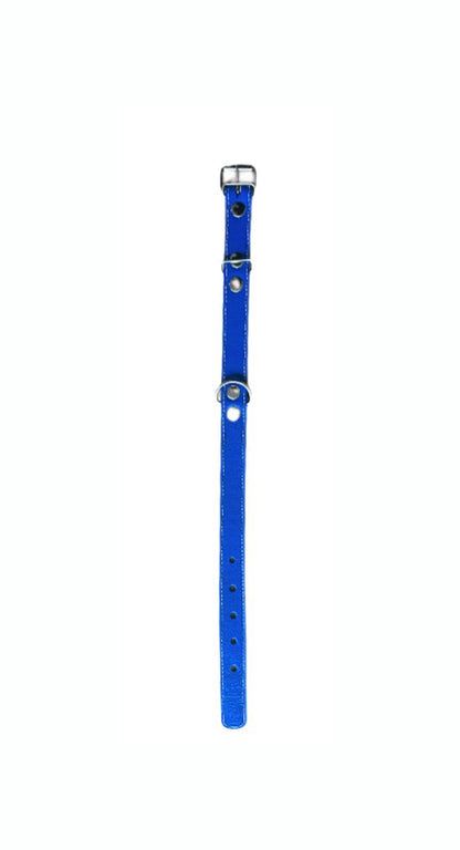 PET SILICONE COLLAR 1CM
