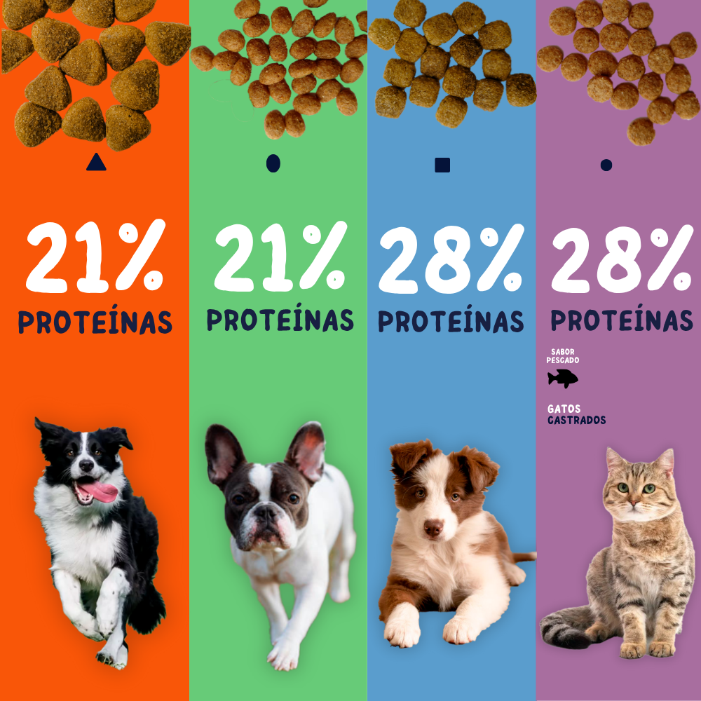 CACIQUE PERRO ADULTO 20KG + 2KG REGALO
