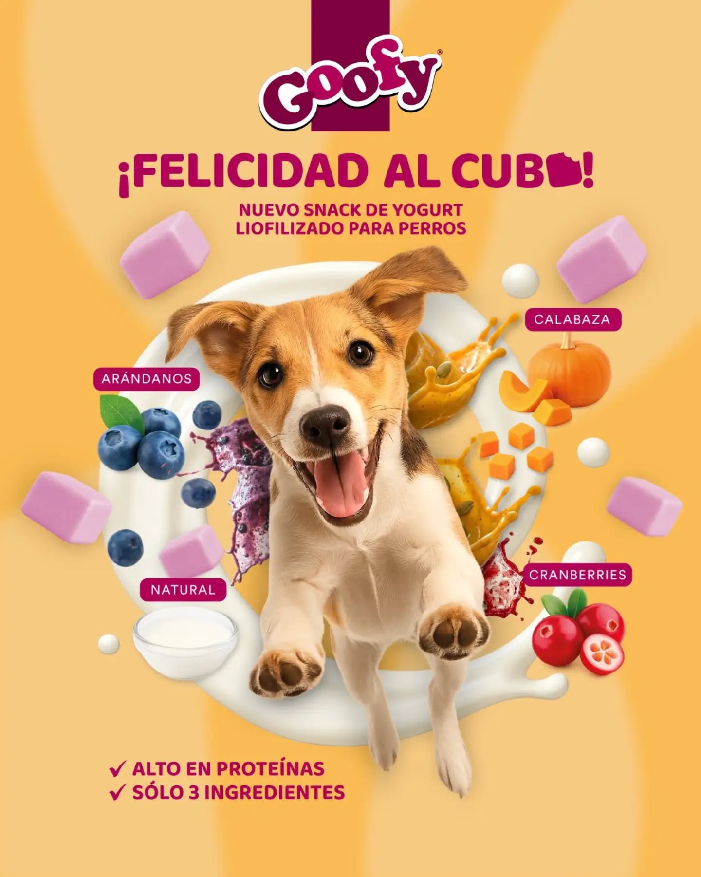 SNACK GOOFY YOGURT NATURAL EN CUBOS 20GR