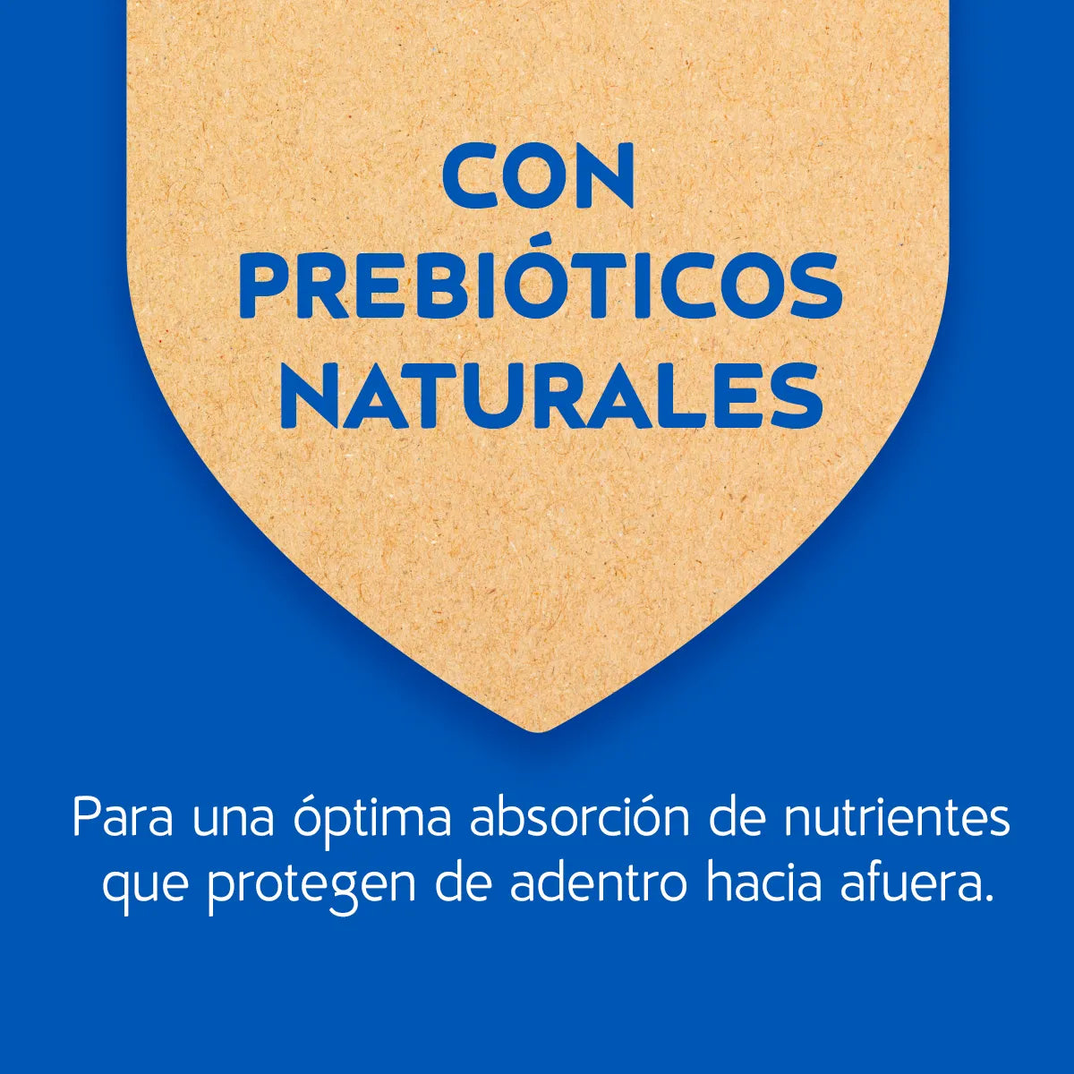 CATCHOW HOGAREÑO CARNE 1KG