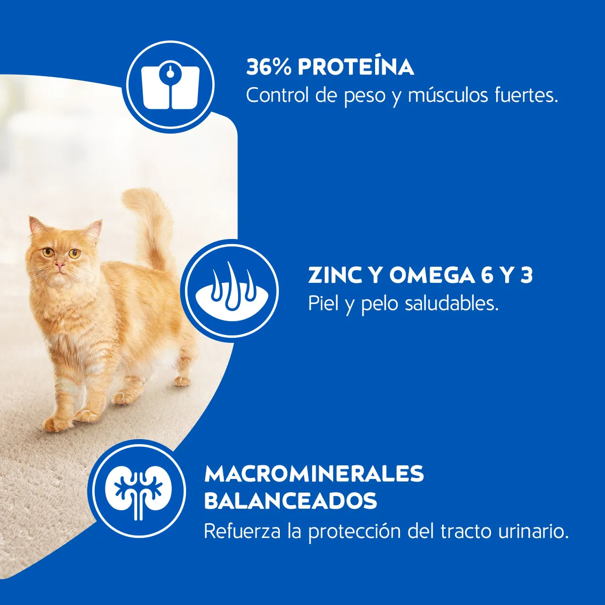 CATCHOW ESTERILIZADO 8KG