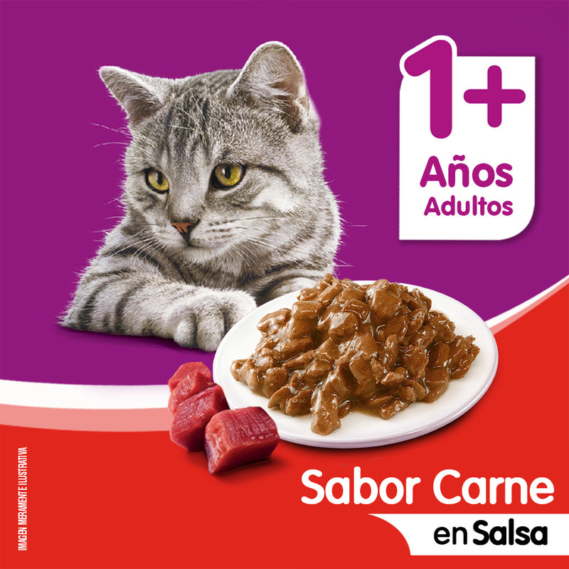 WHISKAS SOBRE CARNE EN SALSA 85GR