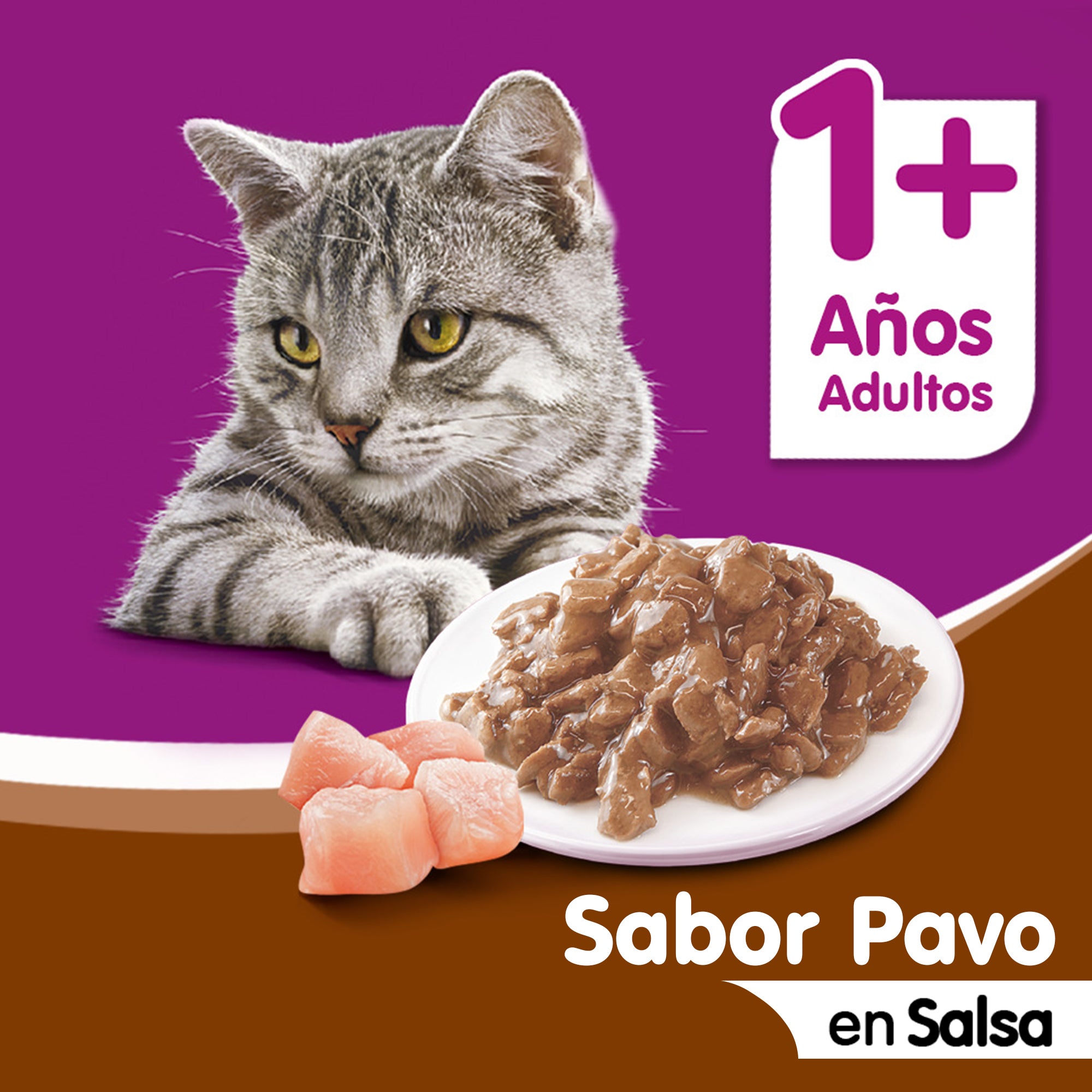 WHISKAS SOBRE PAVO EN SALSA 85GR
