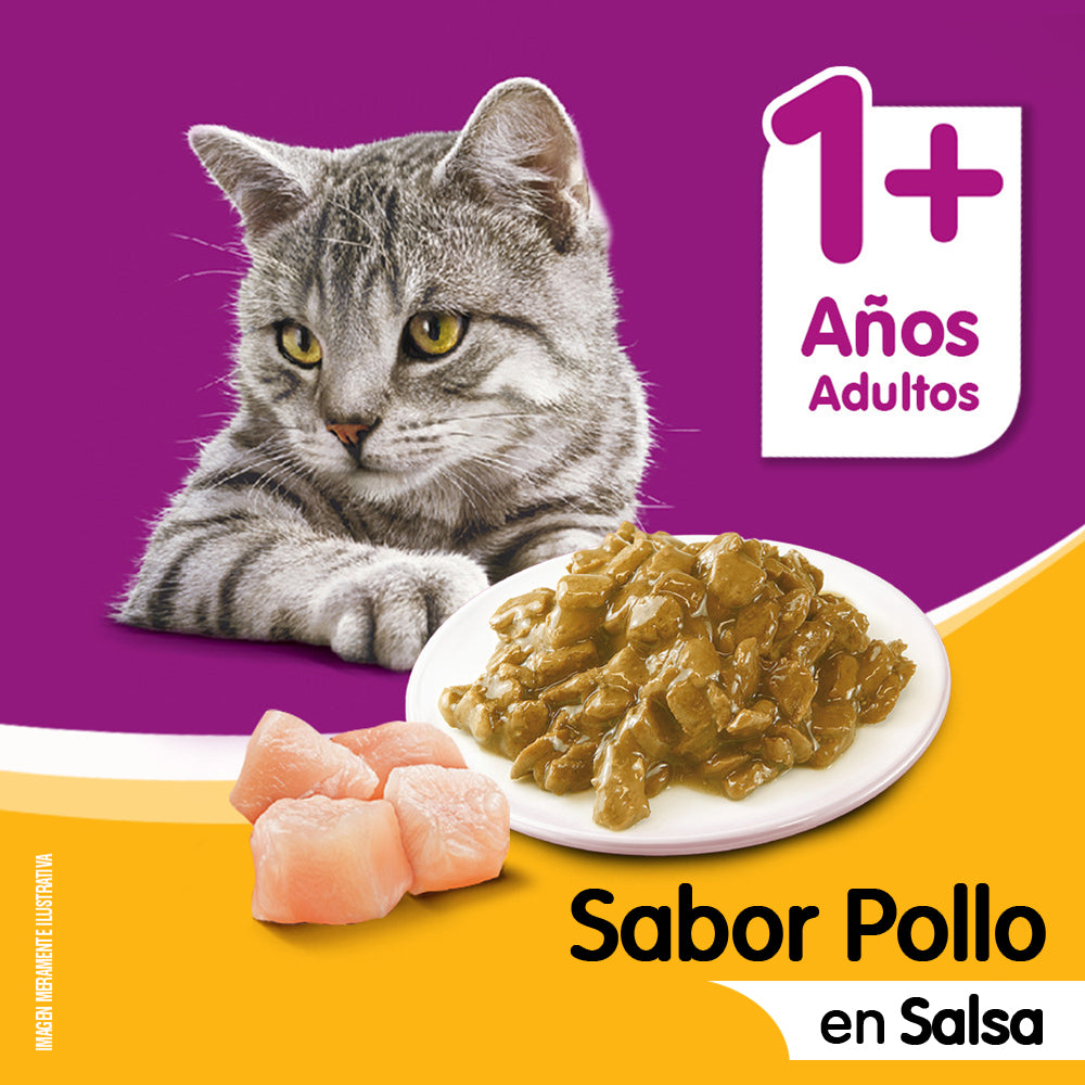 WHISKAS SOBRE POLLO EN SALSA 85GR