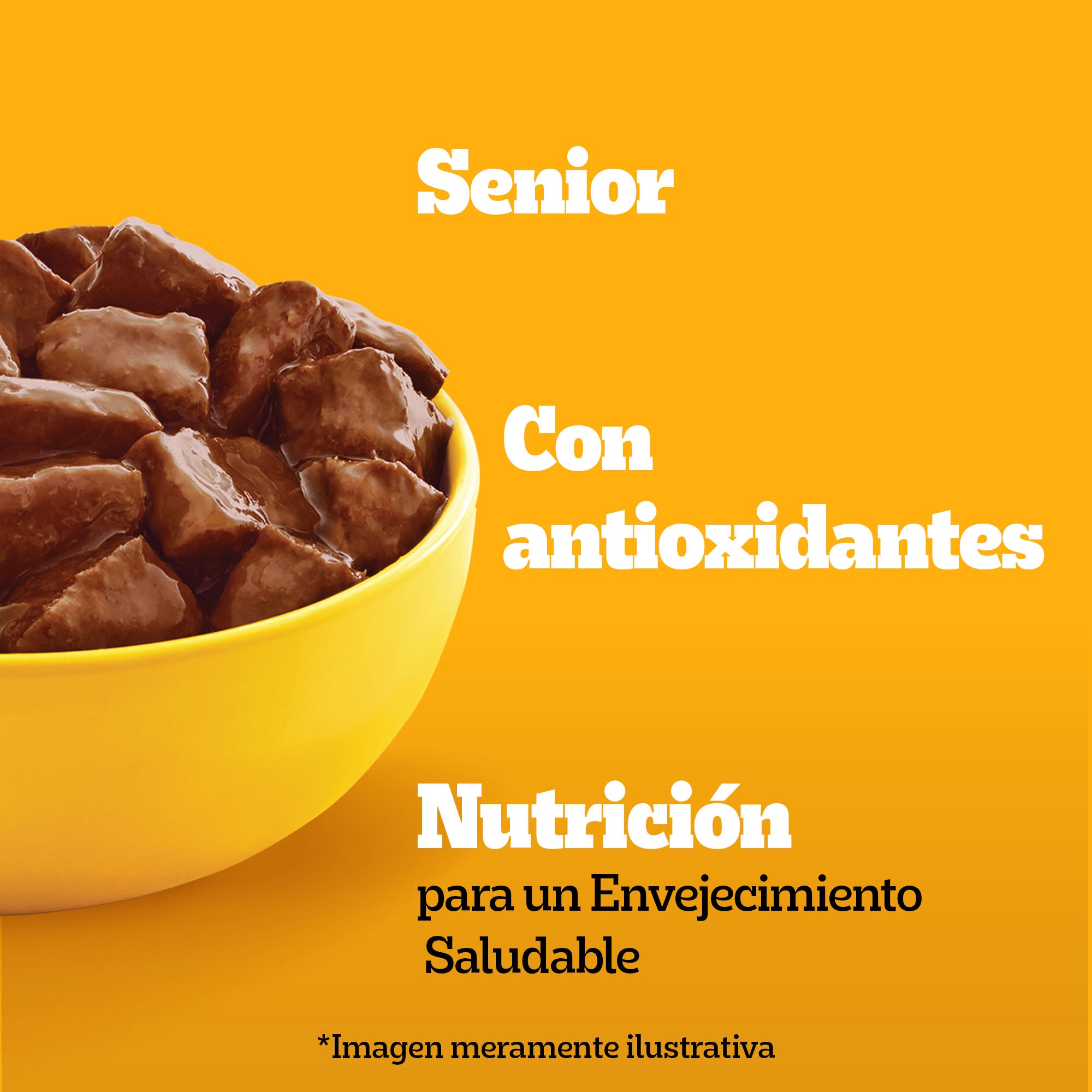 PEDIGREE SOBRE ADULTO SENIOR+7 CARNE 100GR