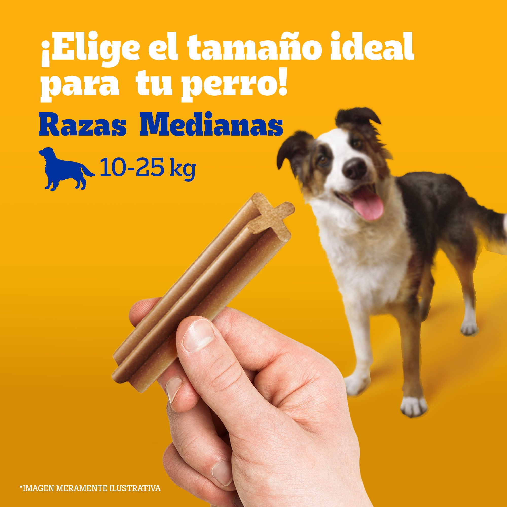 DENTASTIX PEDIGREE R.MEDIANAS 25.7GR