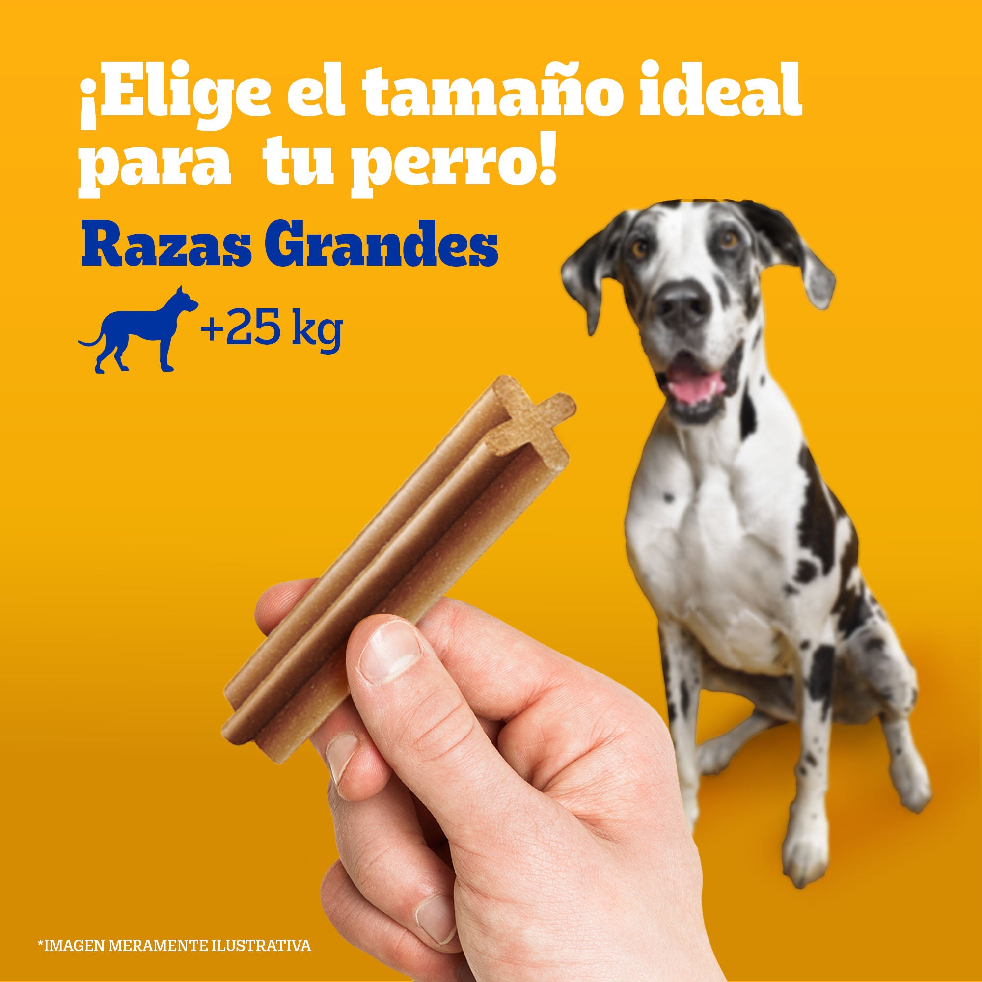 DENTASTIX PEDIGREE R.GRANDE 115.5GR X3