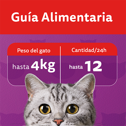 SNACK WHISKAS TENTADOR CARNE 40GR
