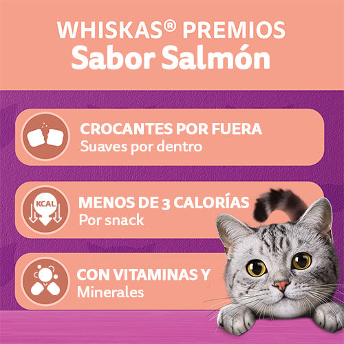 SNACK WHISKAS DELICIOSO SALMON 40GR