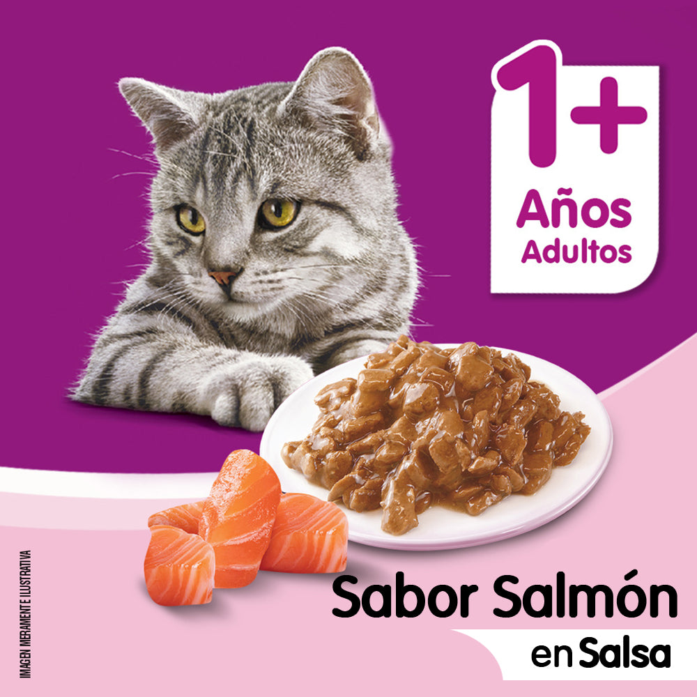WHISKAS SOBRE SALMON EN SALSA 85GR