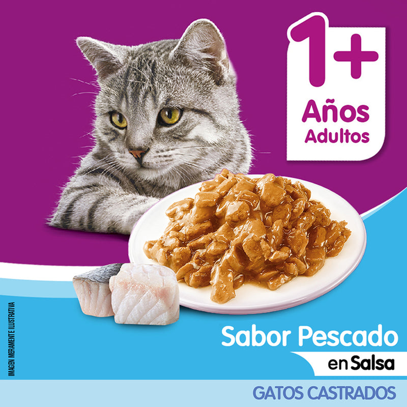 WHISKAS SOBRE CASTRADO PESCADO EN SALSA 85GR