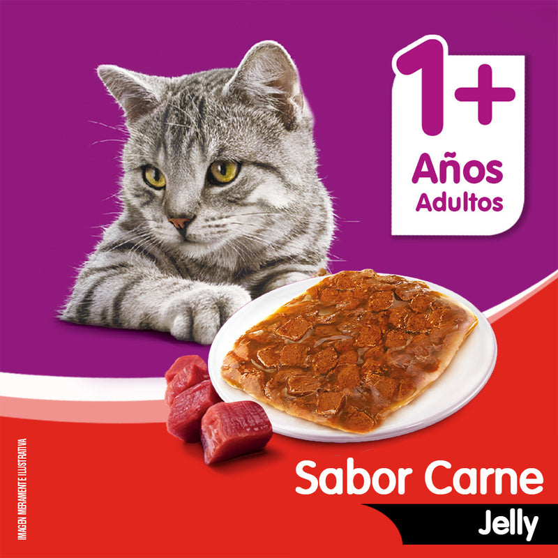 WHISKAS SOBRE JELLY CARNE 85GR