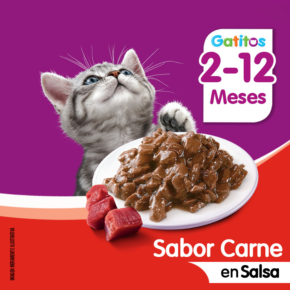 WHISKAS SOBRE GATITOS CARNE 85GRS