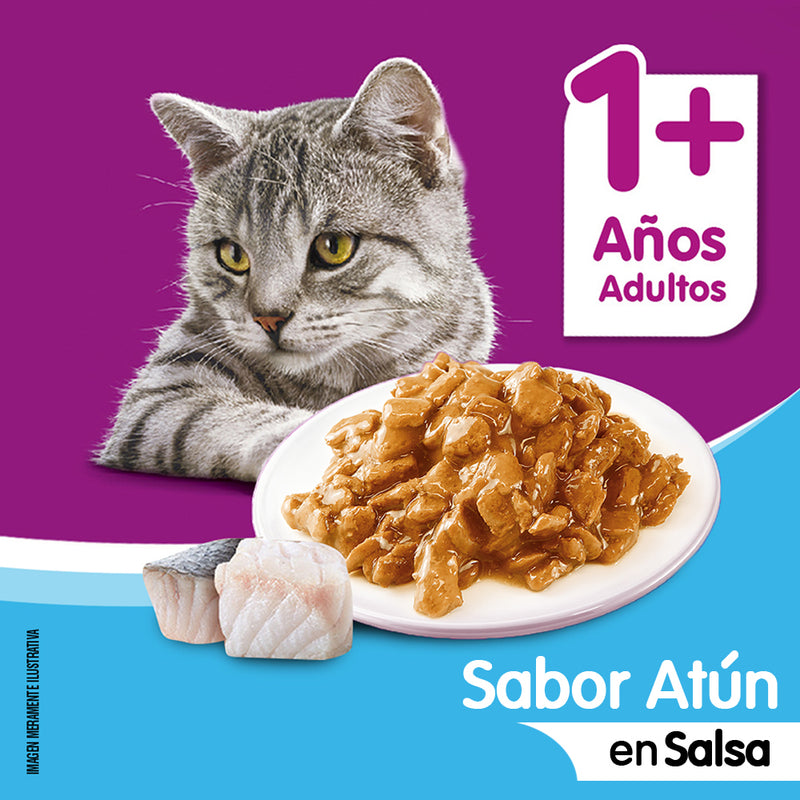 WHISKAS SOBRE ATUN EN SALSA 85GR