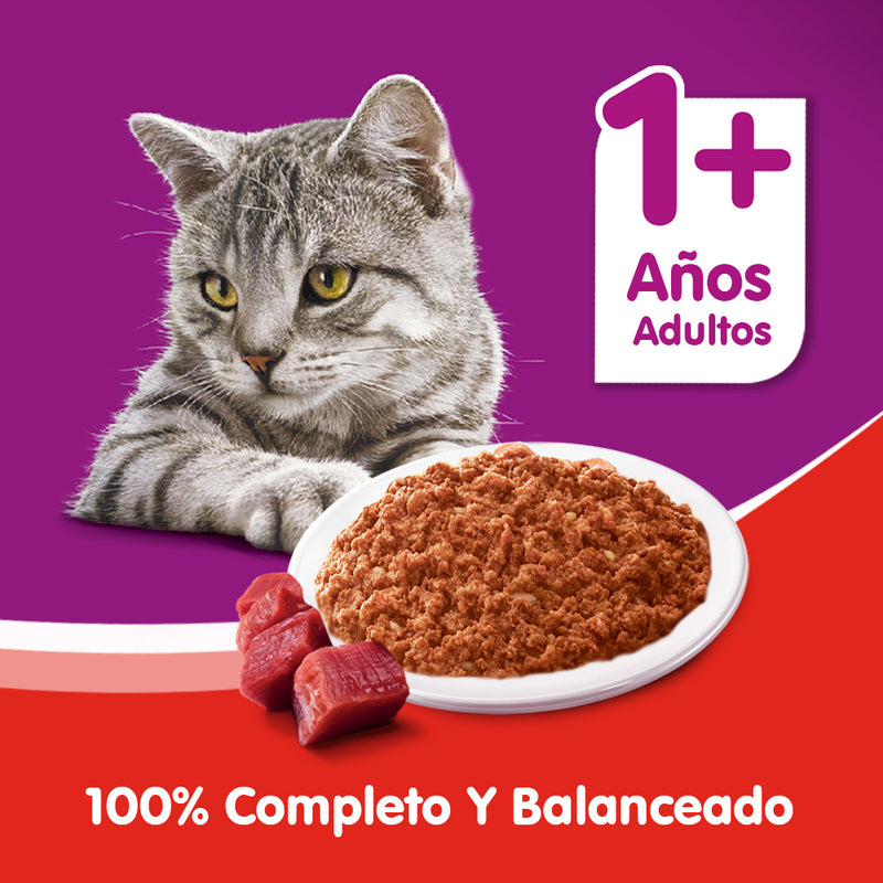 LATA WHISKAS CARNE PATE 290GR