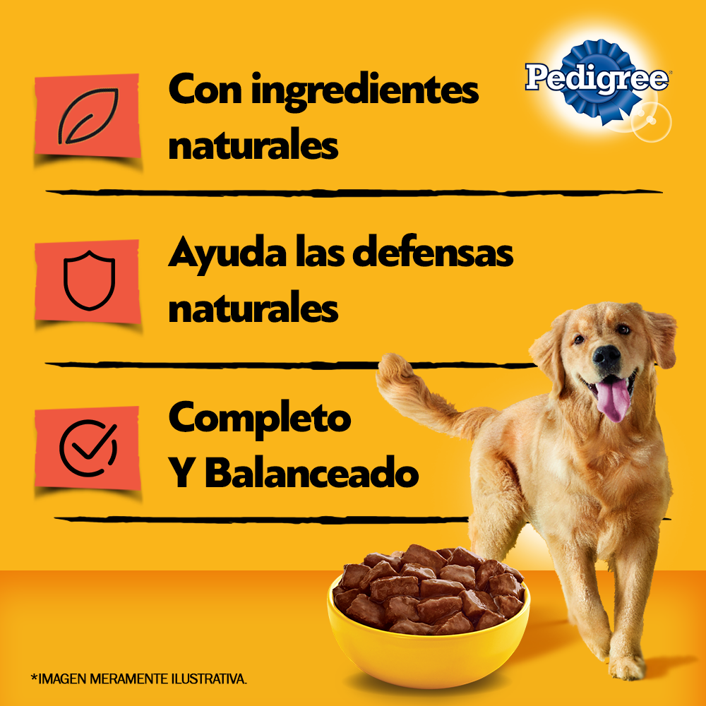 LATA PEDIGREE ADULTO V/P PATE CARNE 280GR