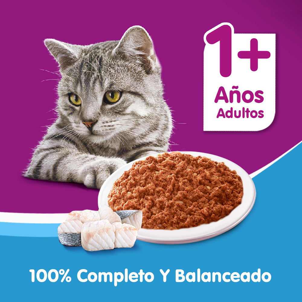 LATA WHISKAS ATUN PATE 290GR