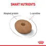 ROYAL CANIN PERRO RAZAS PEQUEÑAS LIGHT 2,5KG