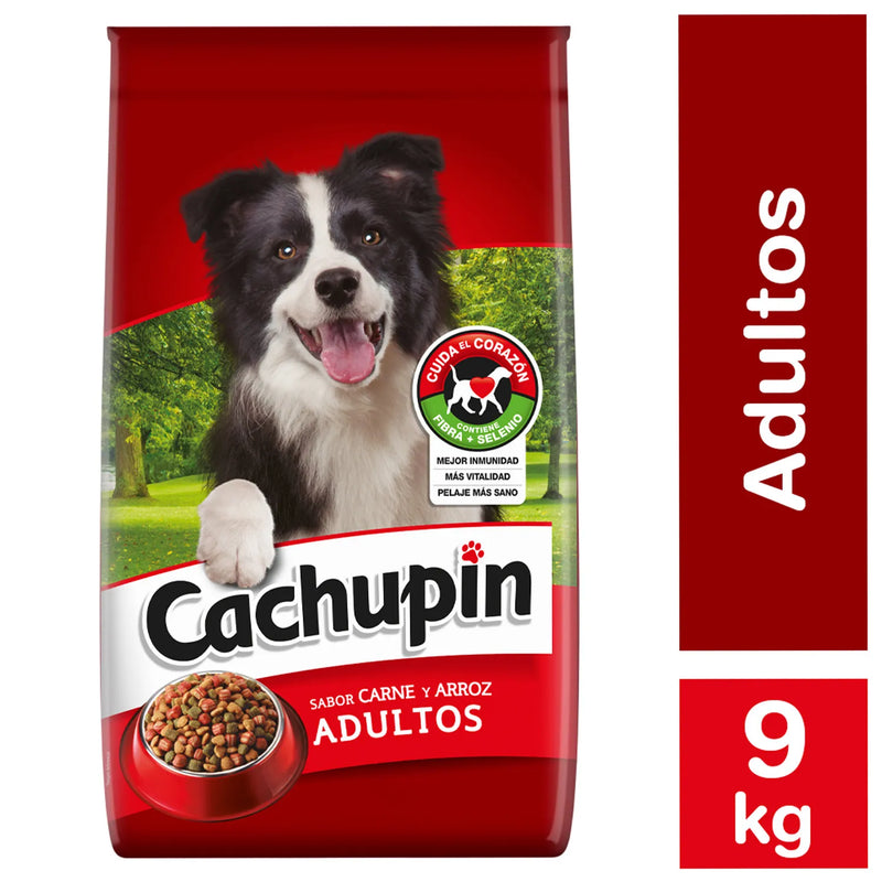 CACHUPIN ADULTO CARNE Y ARROZ