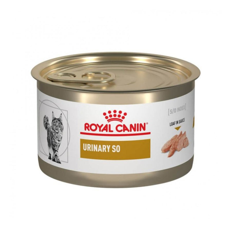 LATA ROYAL CANIN FELINE URINARY S/O 145GR