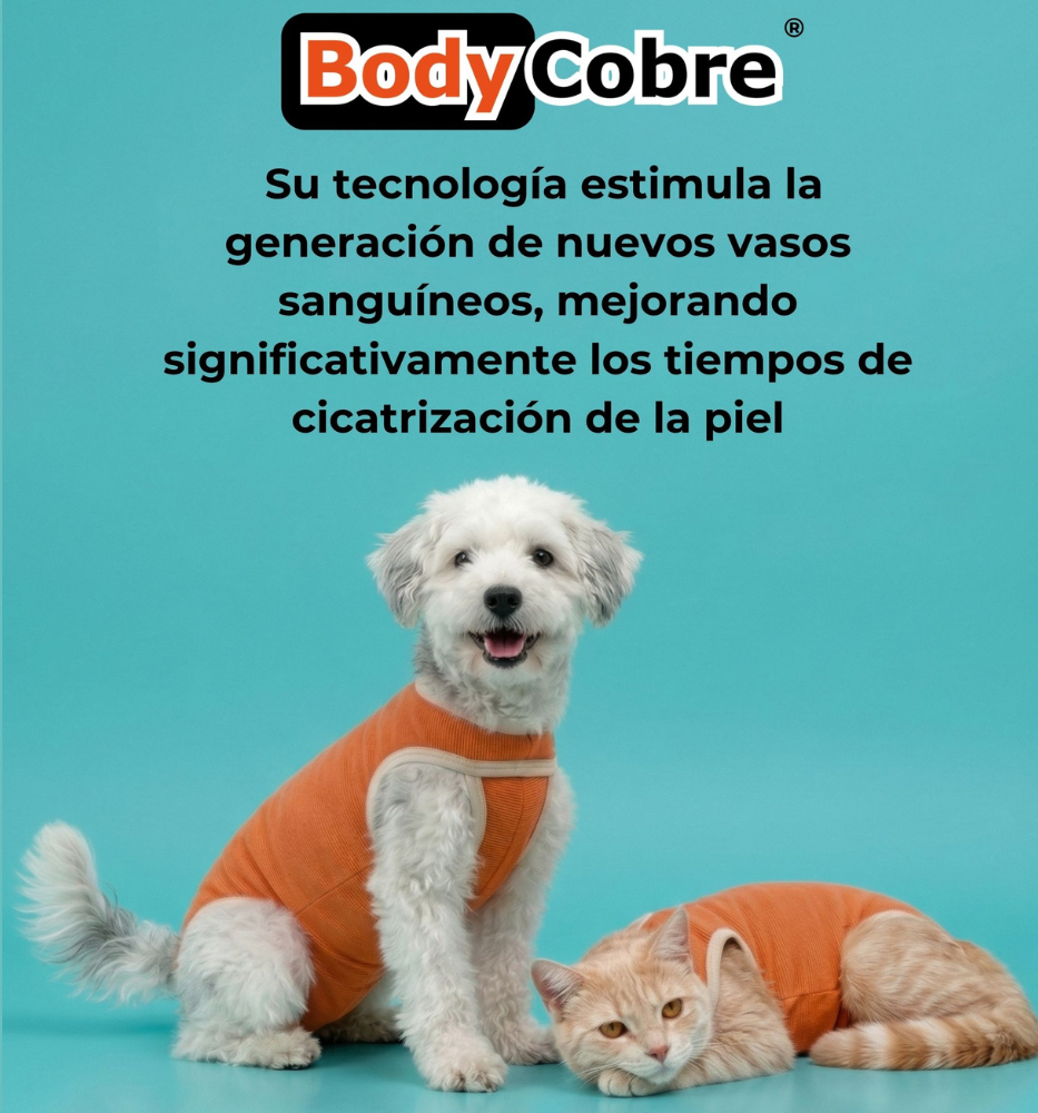 BODY COBRE TRADICIONAL PERRO Y GATO TALLA 4 | 6A 7,5 KG