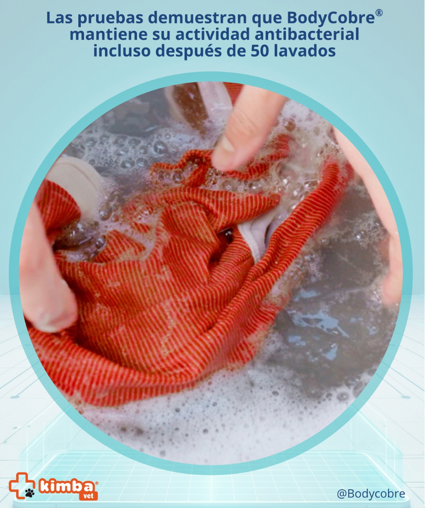 BODY COBRE TRADICIONAL PERRO Y GATO TALLA 4 | 6A 7,5 KG