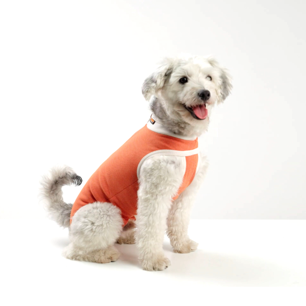 BODY COBRE TRADICIONAL PERRO Y GATO TALLA 4 | 6A 7,5 KG