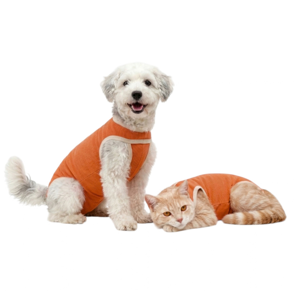 BODY COBRE TRADICIONAL PERRO Y GATO TALLA 2 | 3,5 A 4,5 KG