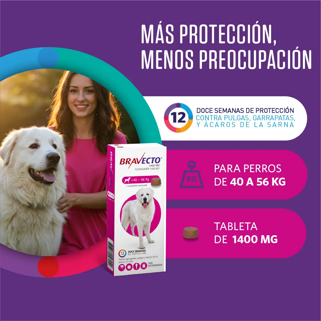 BRAVECTO PERRO 40-56KG TRES MESES X 1 COMPRIMIDO