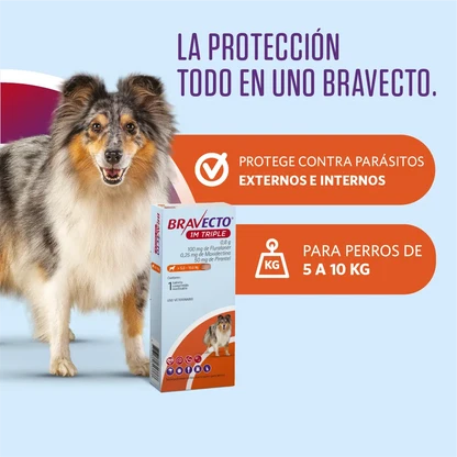 BRAVECTO PERRO 5-10KG 1M TRIPLE
