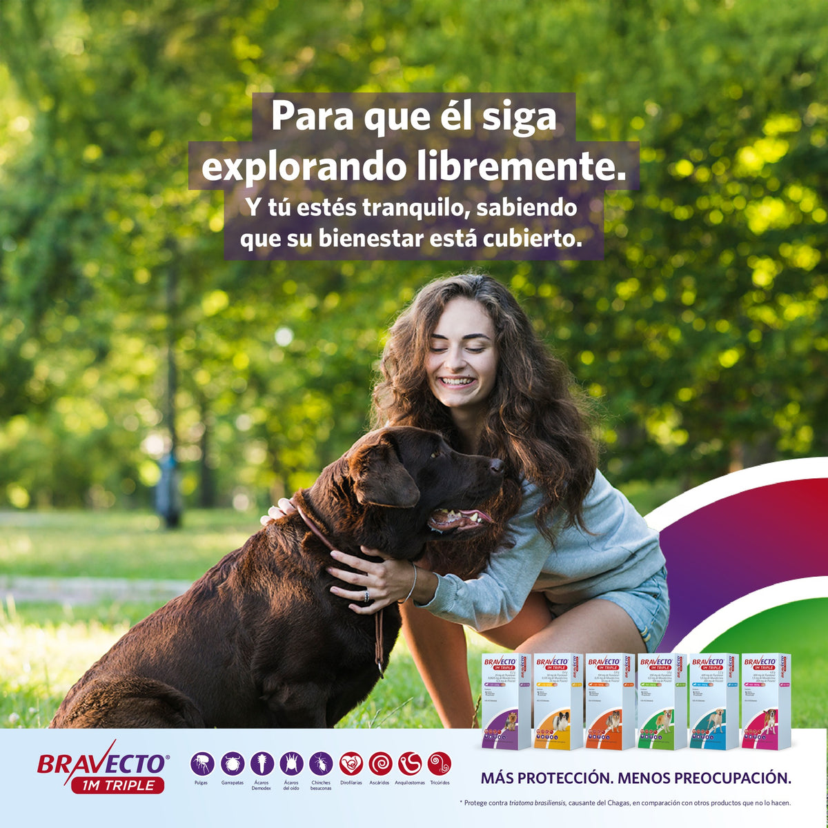BRAVECTO PERRO 20-40KG 1M TRIPLE