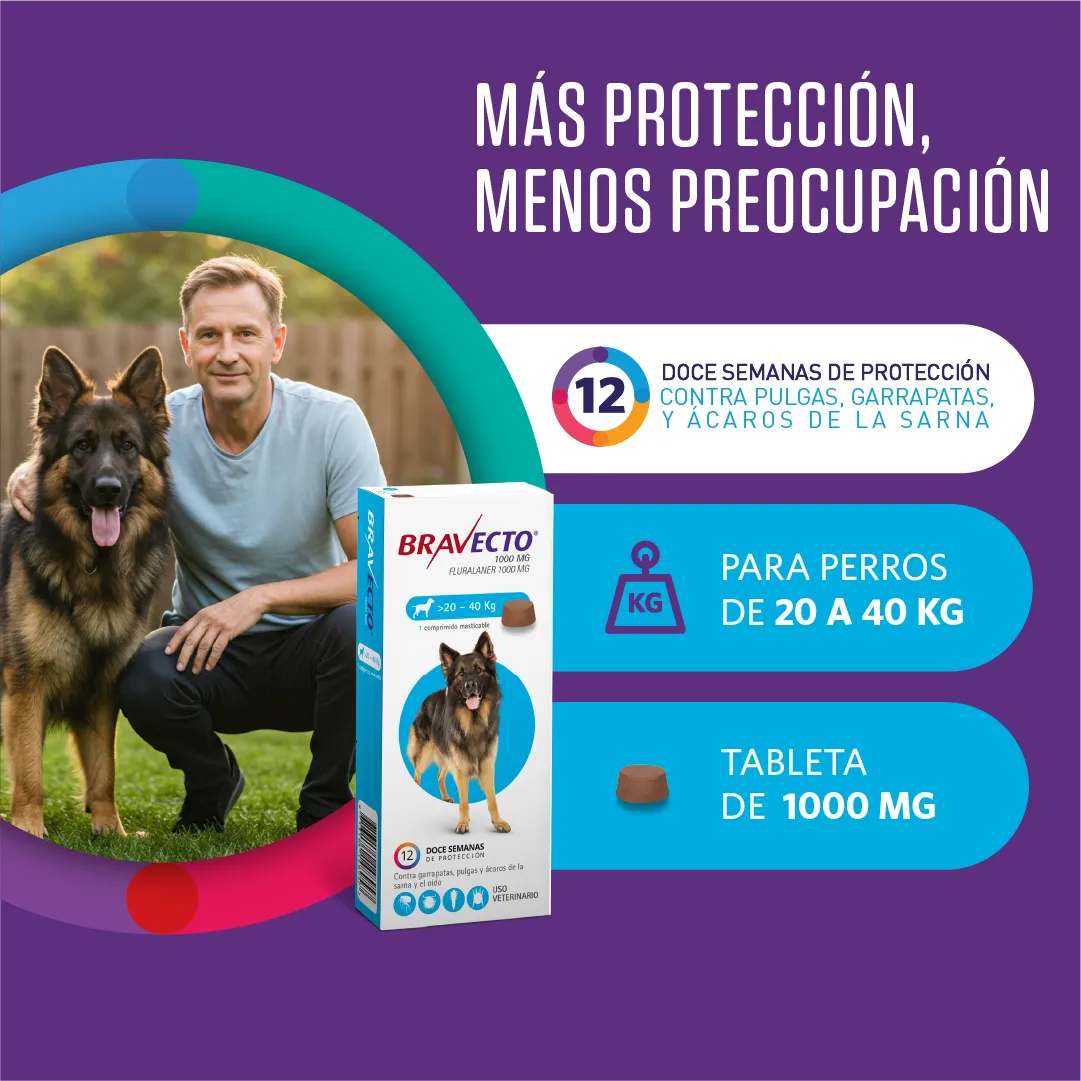 BRAVECTO PERRO 20-40KG TRES MESES X 1 COMPRIMIDO