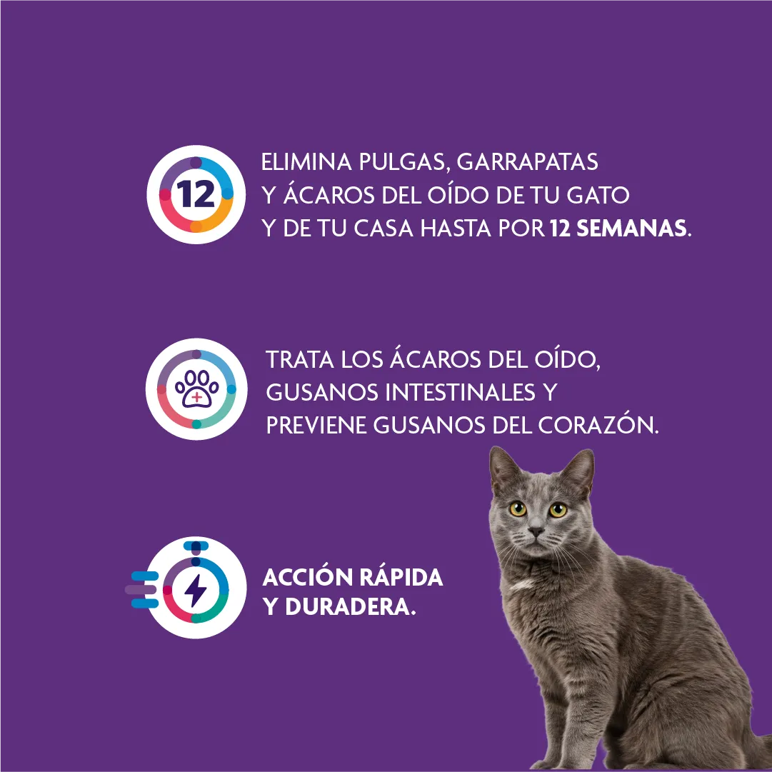 PIPETA BRAVECTO GATO MEDIANO 2.8-6.25 X UNIDAD