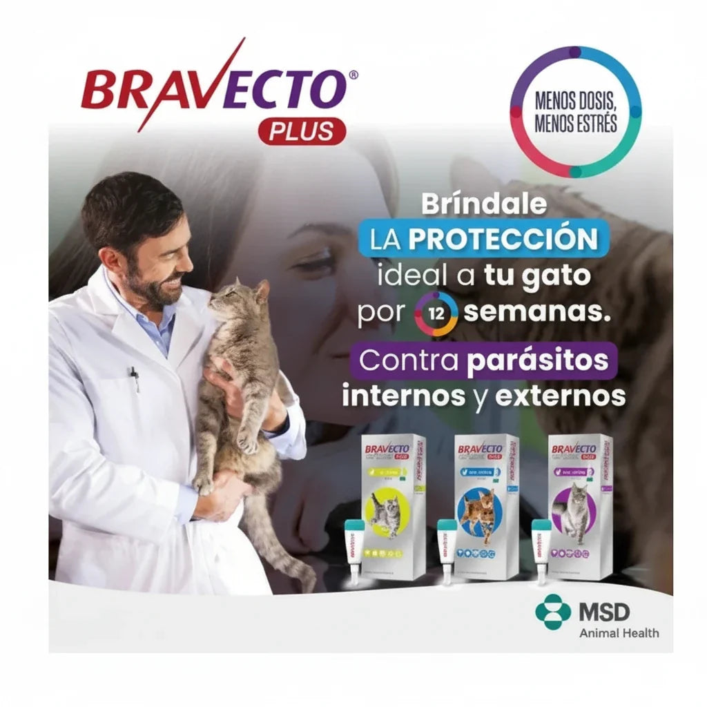 PIPETA BRAVECTO PLUS GATO PEQUEÑO 1.2-2.8 X 1 UNIDAD