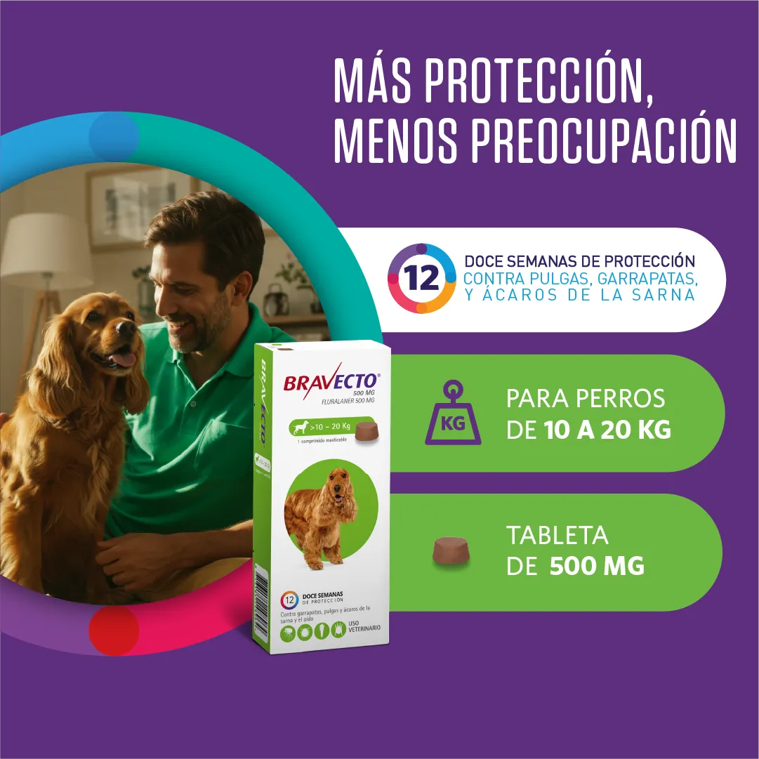 BRAVECTO PERRO 10-20KG TRES MESES X 1 COMPRIMIDO