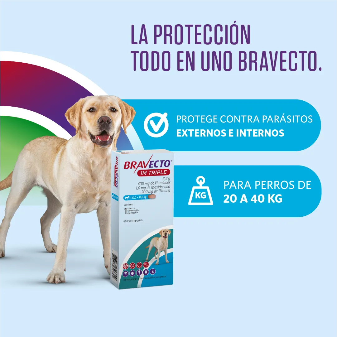 BRAVECTO PERRO 20-40KG 1M TRIPLE