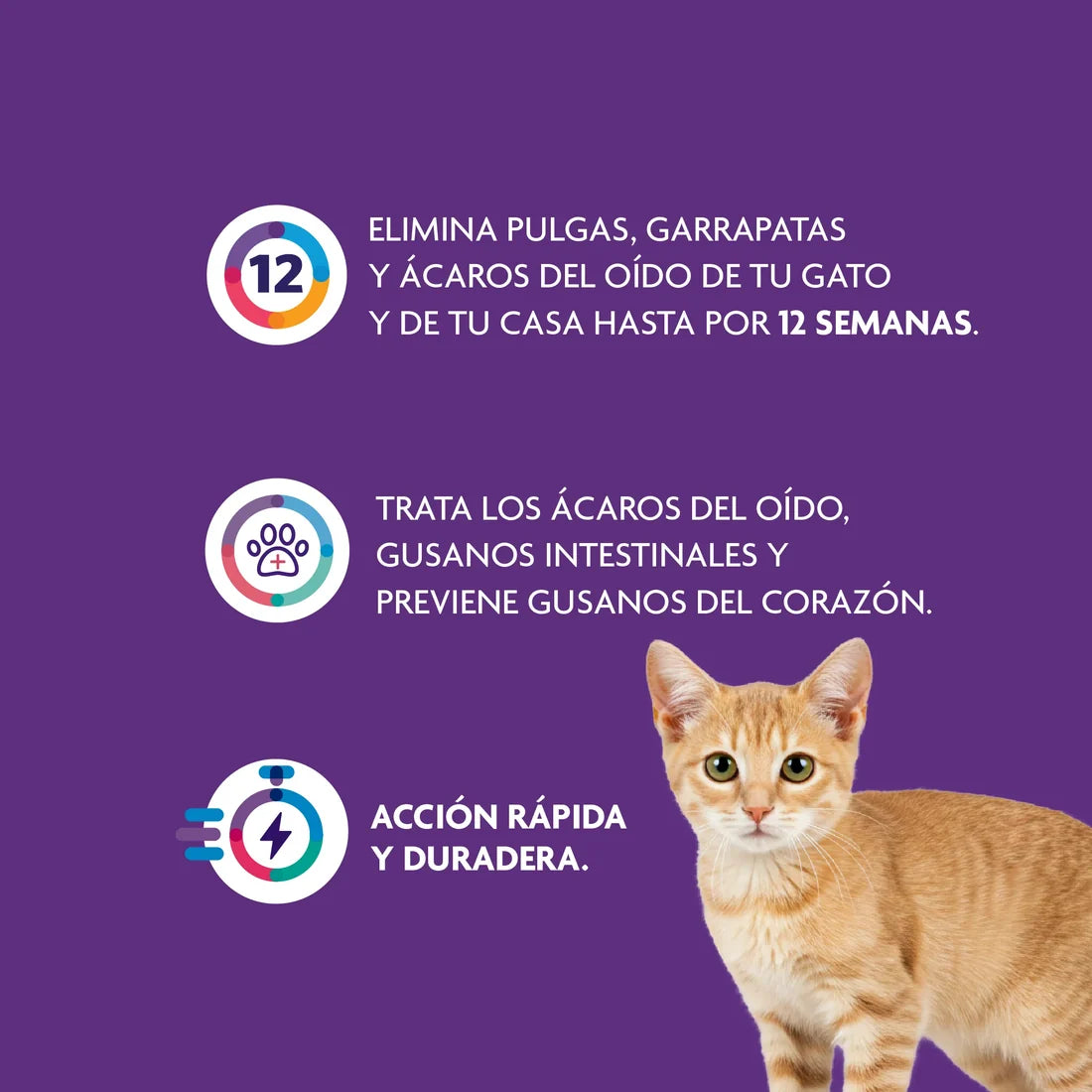 PIPETA BRAVECTO PLUS GATO PEQUEÑO 1.2-2.8 X 1 UNIDAD