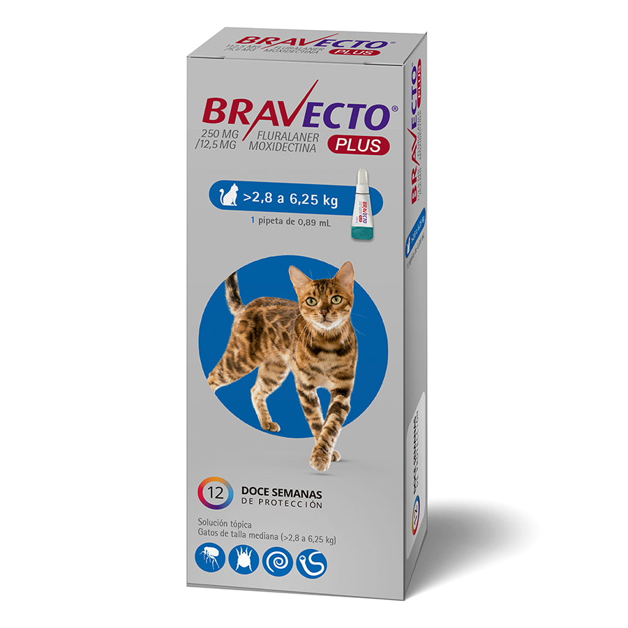 PIPETA BRAVECTO GATO MEDIANO 2.8-6.25 X UNIDAD