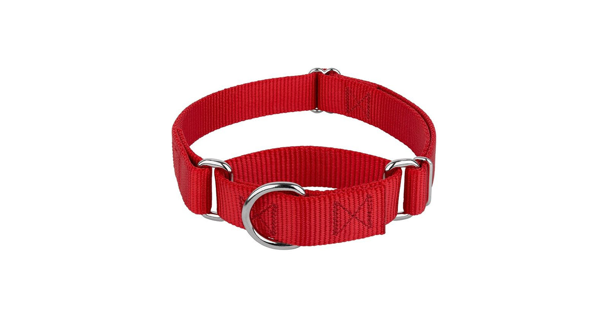 NYLON DOG COLLAR 3CM