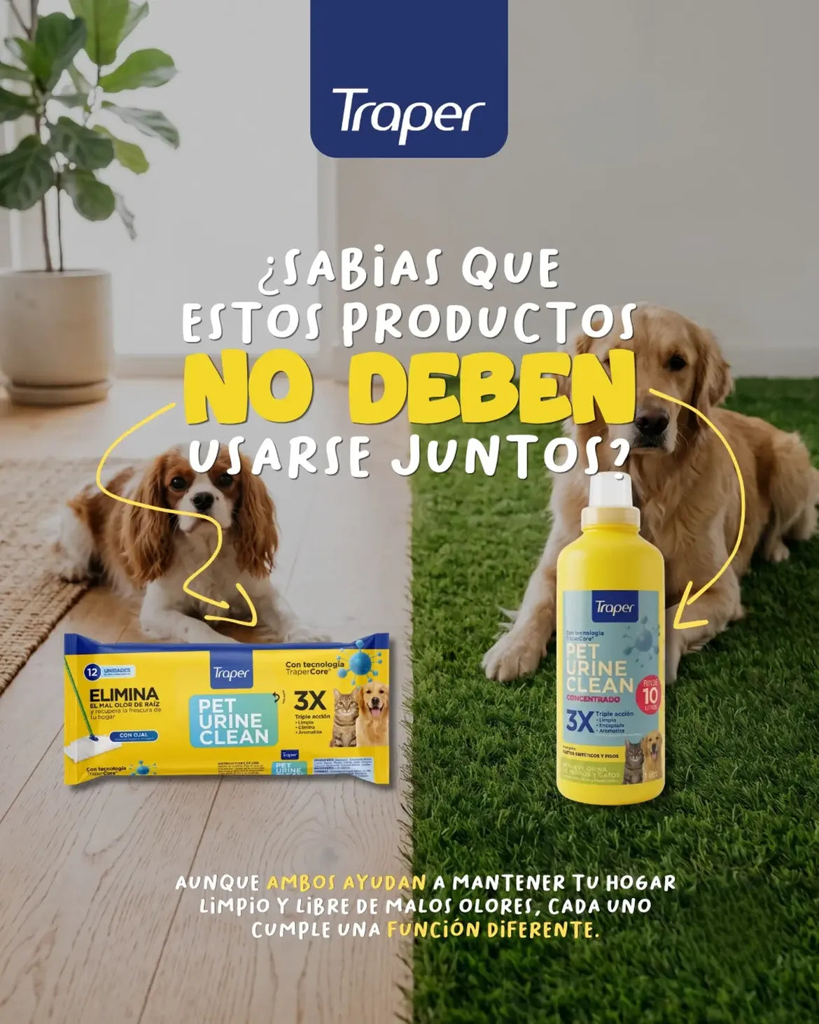 TRAPERO PET URINE TRAPER 12UNI