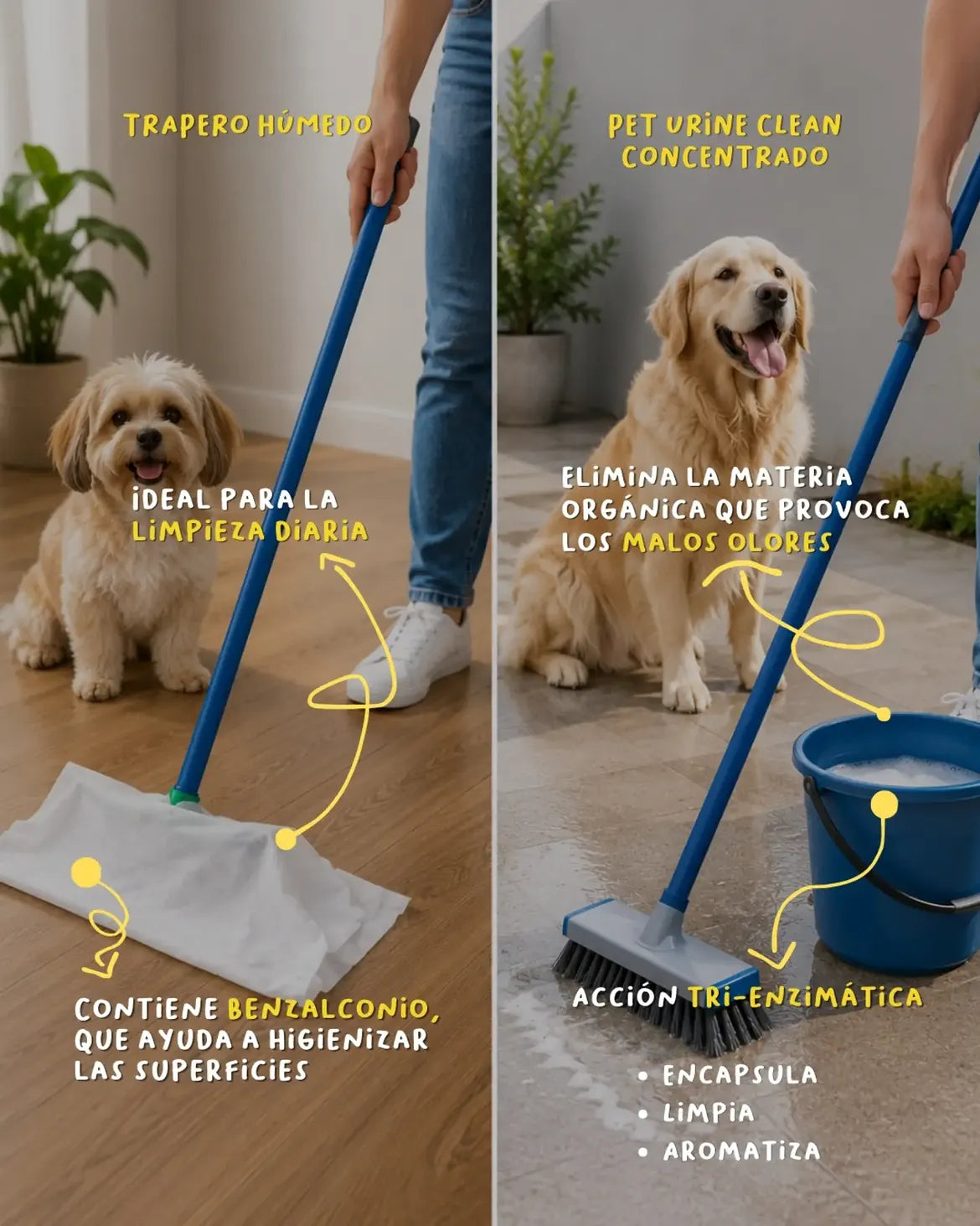 TRAPERO PET URINE TRAPER 12UNI