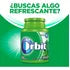 CHICLES ORBIT BOTELLA 64GR HIERBABUENA