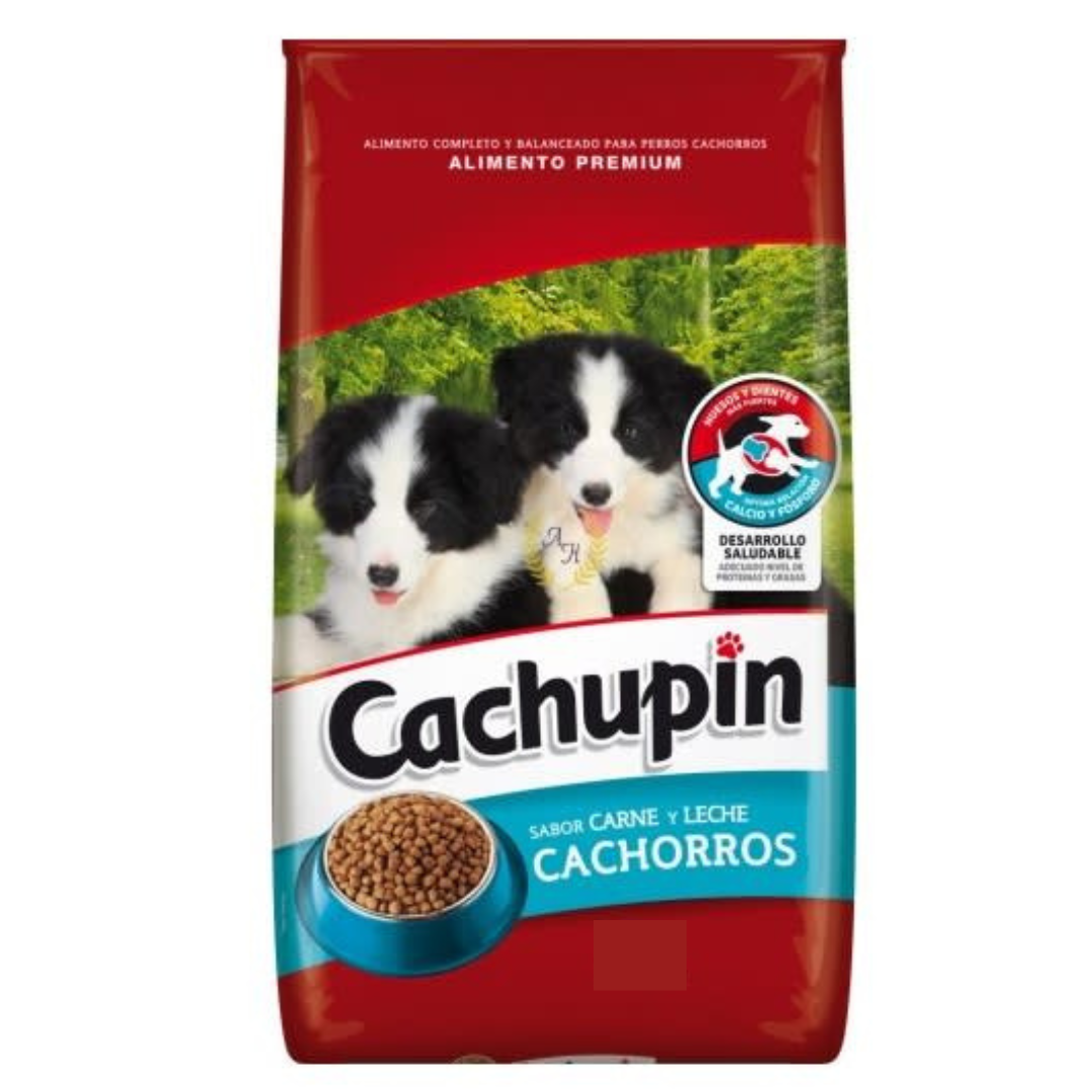 CACHUPÍN CACHORRO 25KG