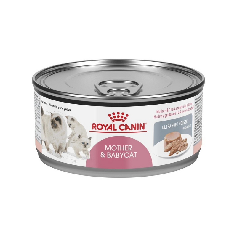 LATA ROYAL CANIN MOTHER & BABYCAT 145GR