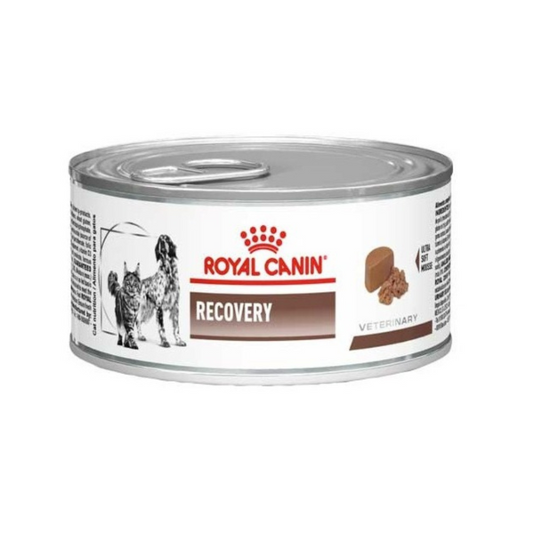 LATA ROYAL CANIN RECOVERY PERRO Y GATO 145GR