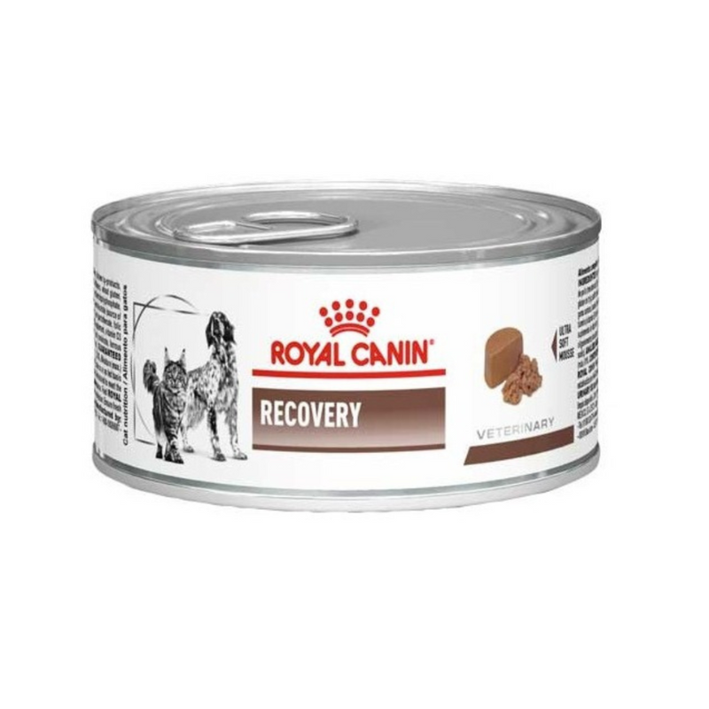 LATA ROYAL CANIN RECOVERY CANINE 145GR