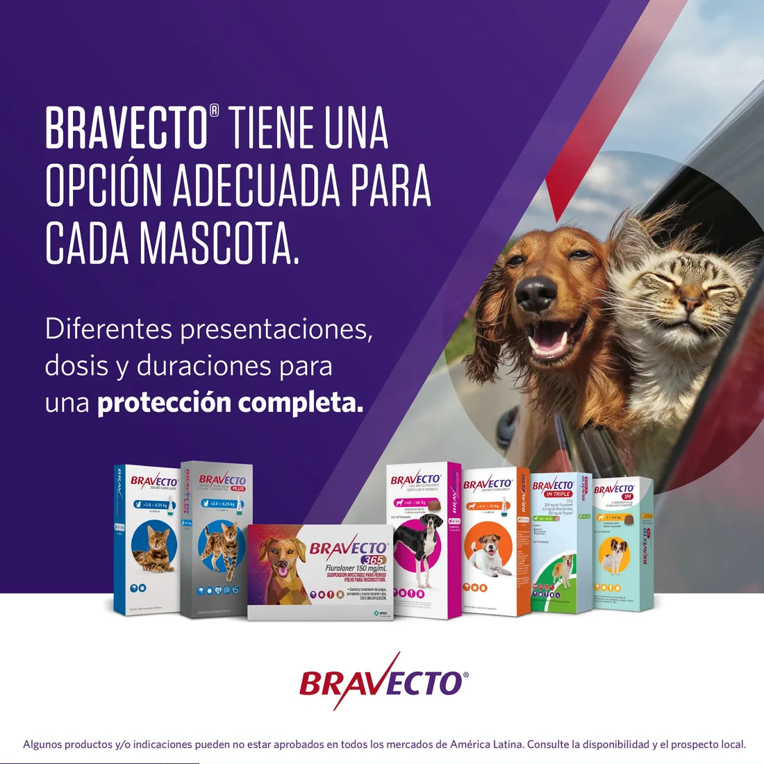 PIPETA BRAVECTO PLUS GATO PEQUEÑO 1.2-2.8 X 1 UNIDAD