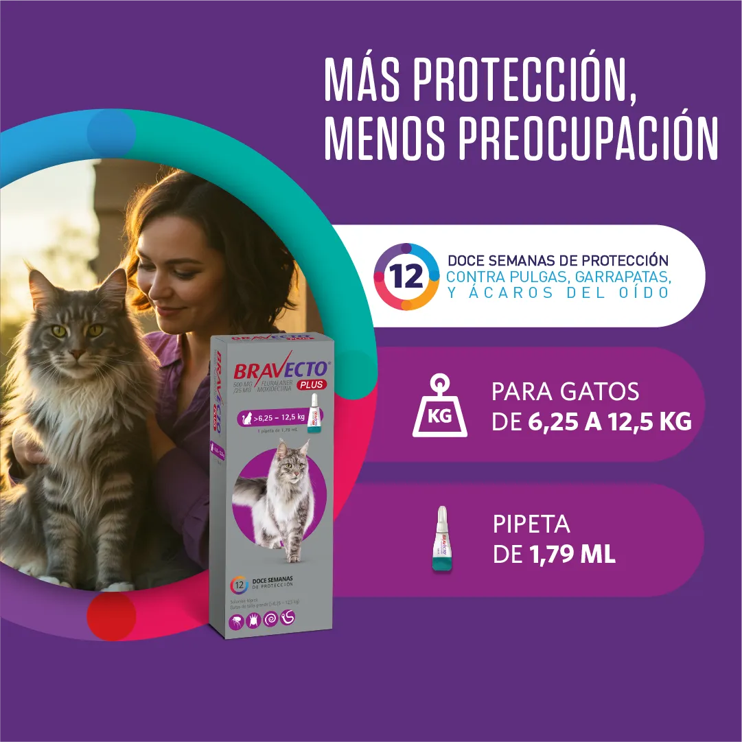 PIPETA BRAVECTO PLUS GATO GRANDE 6.25-12.5 X 1 UNIDAD