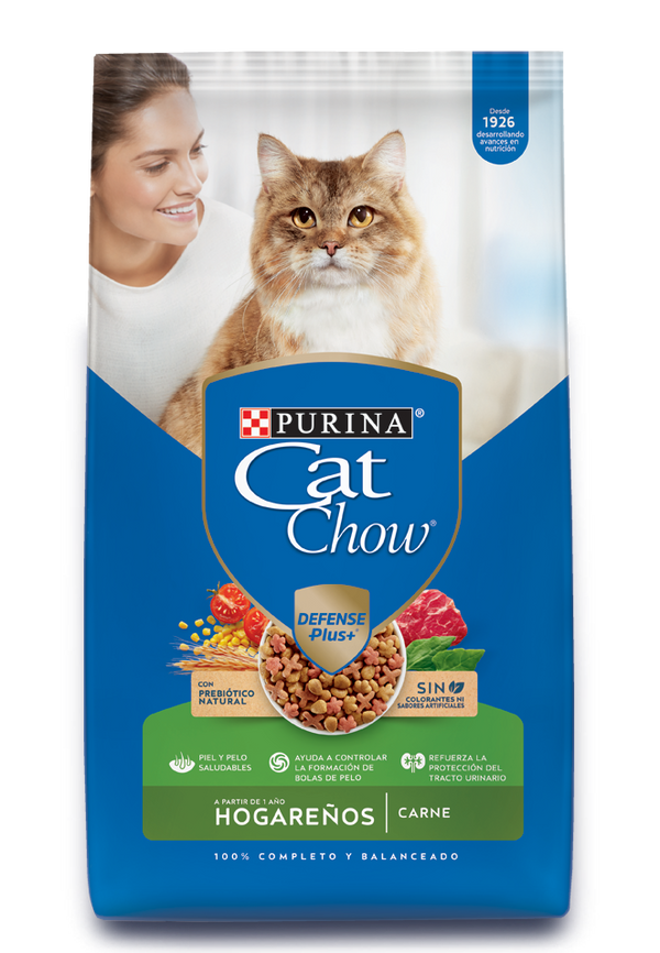 CATCHOW HOGAREÑO CARNE 1KG
