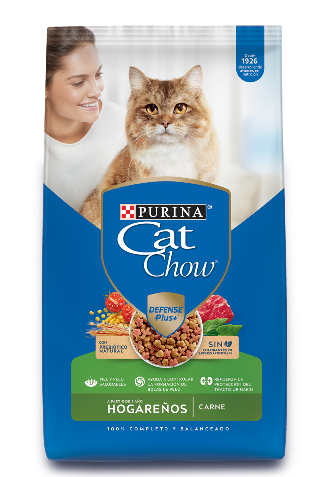 CATCHOW HOGAREÑO CARNE 1KG